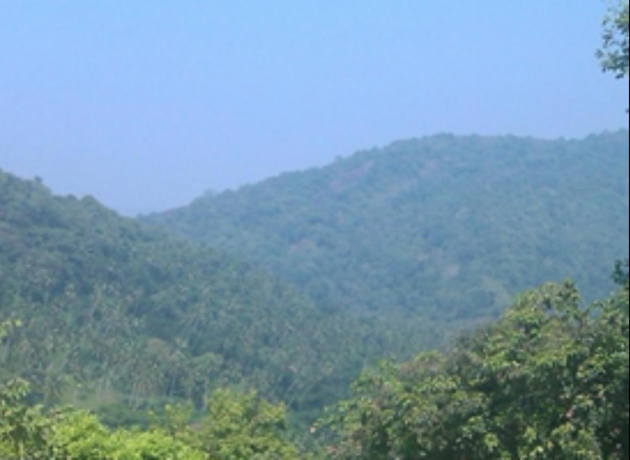 Birds Park Polgahawela Ξενοδοχείο Wadakada Εξωτερικό φωτογραφία
